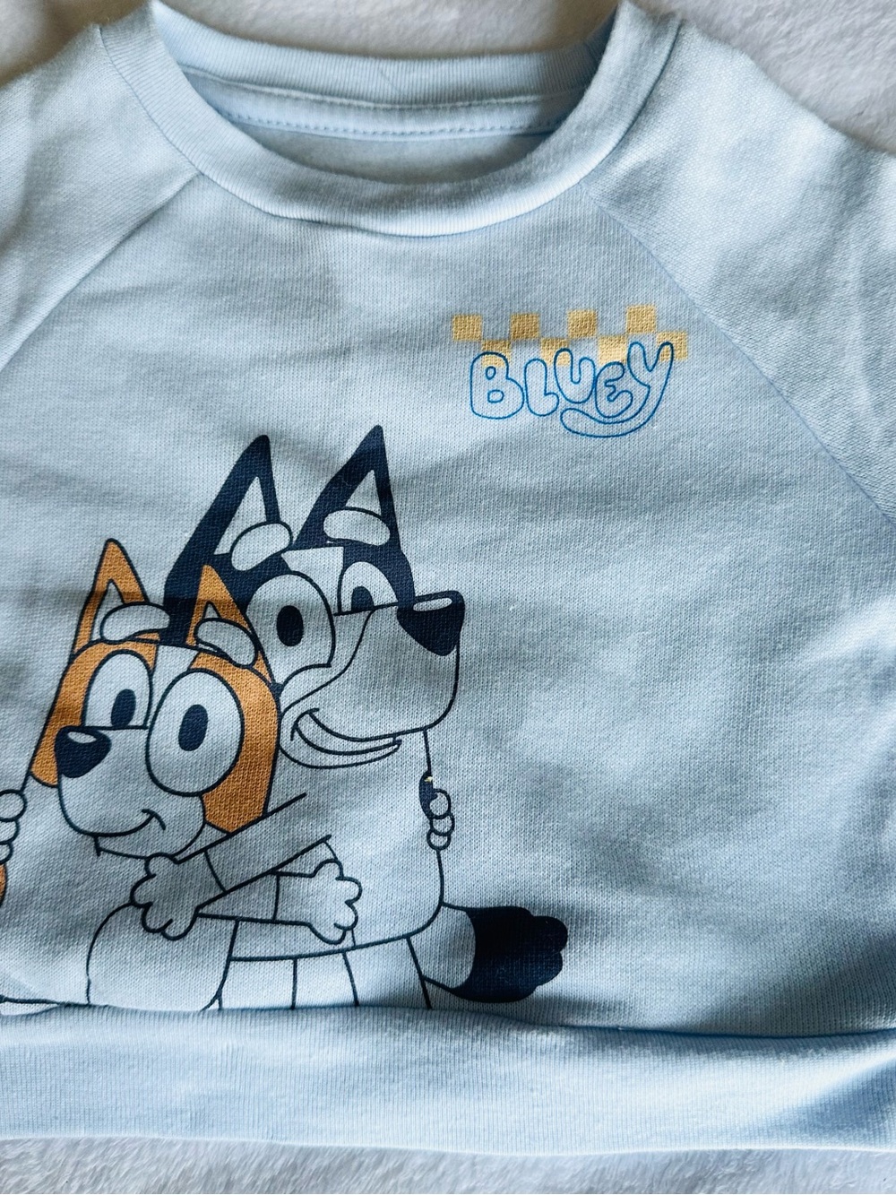 Bluey Light Blue Kids Sweatshirt with Character Print